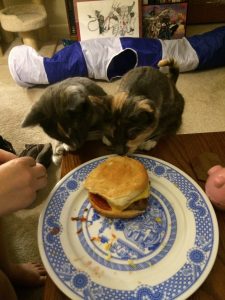 Won't you help us feed our hungry Hell-Kittens? Cheeseburgers seasoned with the souls of the damned will only satisfy them for so long...